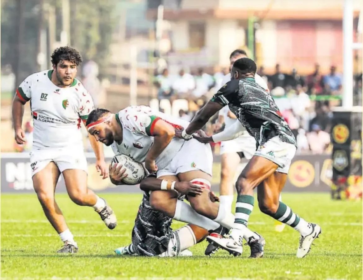 The crazy dream of Algeria.

pressreader.com/article/282595…