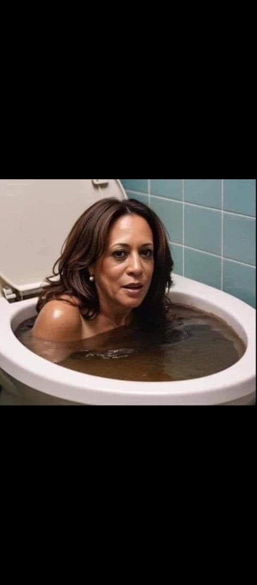 flatrader's tweet image. If trump said that you all would be calling him a racist Nazi for months of not years
Trump said Trump said
Move along now you all had your chance and blew it installing Kamala like a plumber installs a toilet