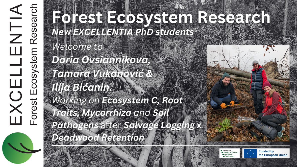 Excellentia_HE's tweet photo. 🎉EXCELLENTIA welcomes Daria Ovsiannikova,
Tamara Vukanović &amp; Ilija Bićanin as new PhD students working #belowground on #roots, #mycorrhizae, soil #pathogens - @ldf_mendelu University Forest #Křtiny (UFE) #windthrow and many other sites across Eurasia! Digging deeper, together! https://t.co/EEtHDPU89v