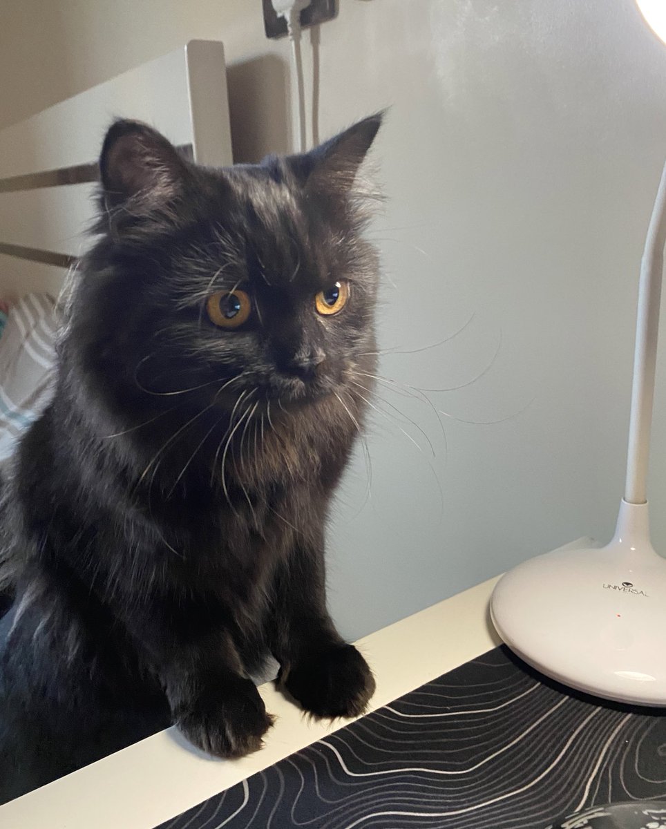 صدمته بال١٠ محاضرات الي المفروض يخلصو النهارده