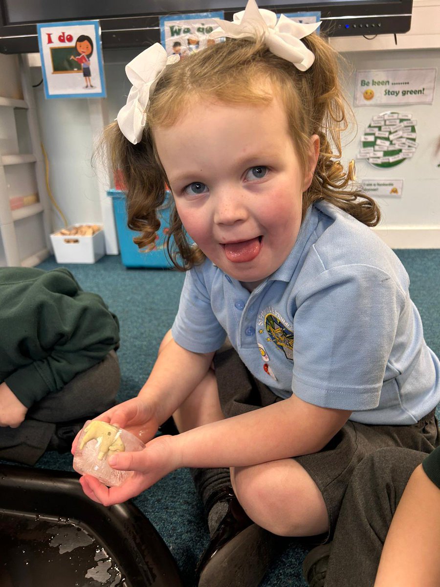 StYrbg's tweet photo. How much fun does this look? We observed what happens to ice and watched the goats break free from the solid ice cubes! #sciencefun! #observingchanges @stpetersfarn https://t.co/noHdhMhR7O