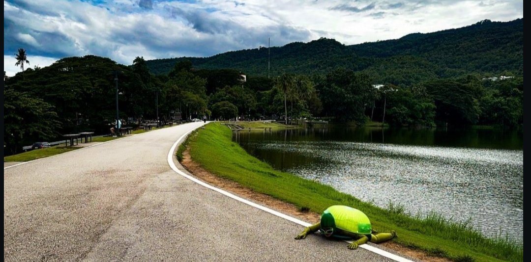 phailin_022's tweet photo. อย่างเช่นเดินเล่นอ่างแก้วอาจจะเจอเต่าอยู่
ก็รู้ว่ามันเป็นคนแปก แต่ไม่คิดว่าจะแปกขนาดนี้🥹😭 https://t.co/YkxEQzwN6b