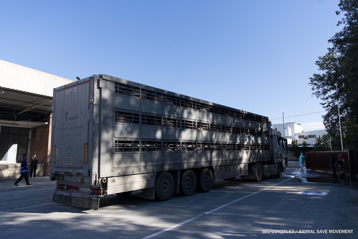 Bel González tweet media