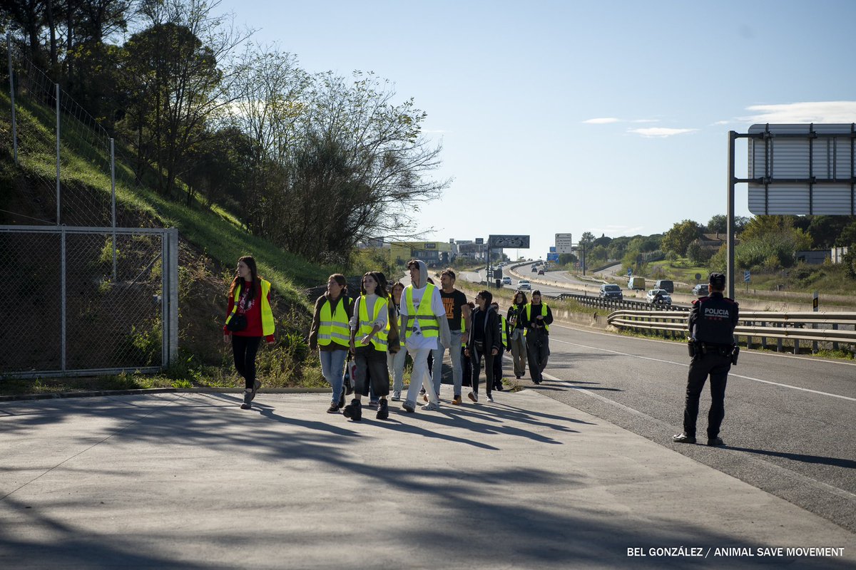 Bel González tweet media