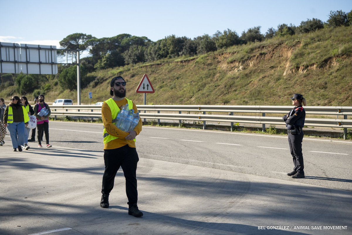 El domingo, activistas de <a href="/animalsavemvmt/">Animal Save Movement</a> organizaron una vigilia para documentar a los animales que llegan en los camiones, darles un poco de agua y despedirse de ellos.

La empresa trató de impedirlo, demostrando el hermetismo y la poca transparencia de la industria cárnica.