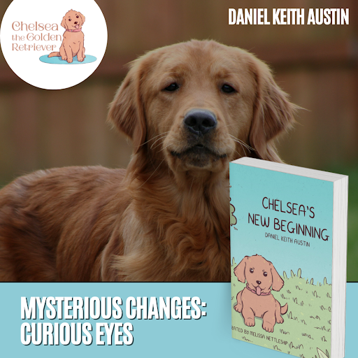 ChelseaTheGold2's tweet photo. Chelsea and her siblings, in “Chelsea's New Beginning” by Daniel Keith Austin, find themselves in unfamiliar territory. 
Get Your Copy On Amazon Today:  https://t.co/w4AOs64RcN
#NewBeginnings #ChelseaThePuppy #FindingBelonging #PuppyAdventure #FieldOfDreams #SiblingPlaytime https://t.co/bj4D8bB2Pi