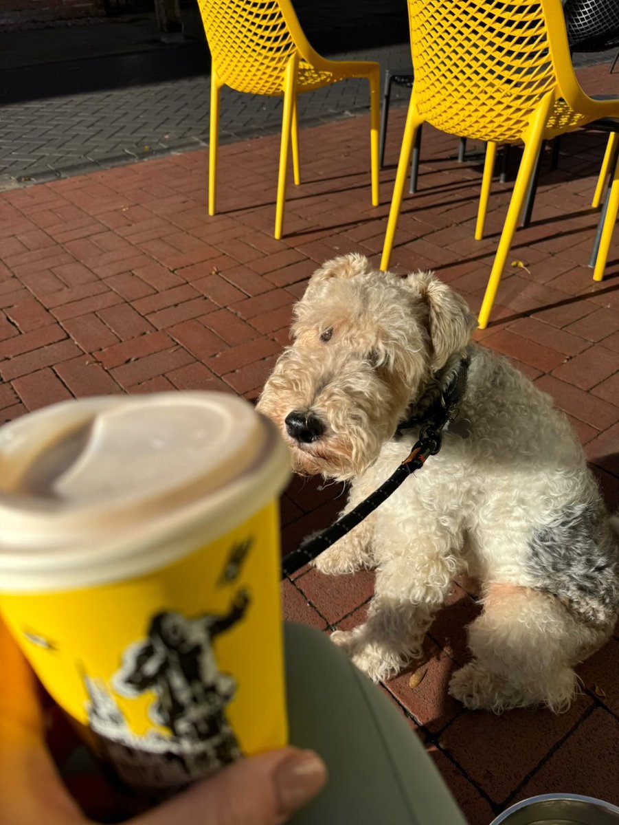 MelbourneInLichfield tweet media