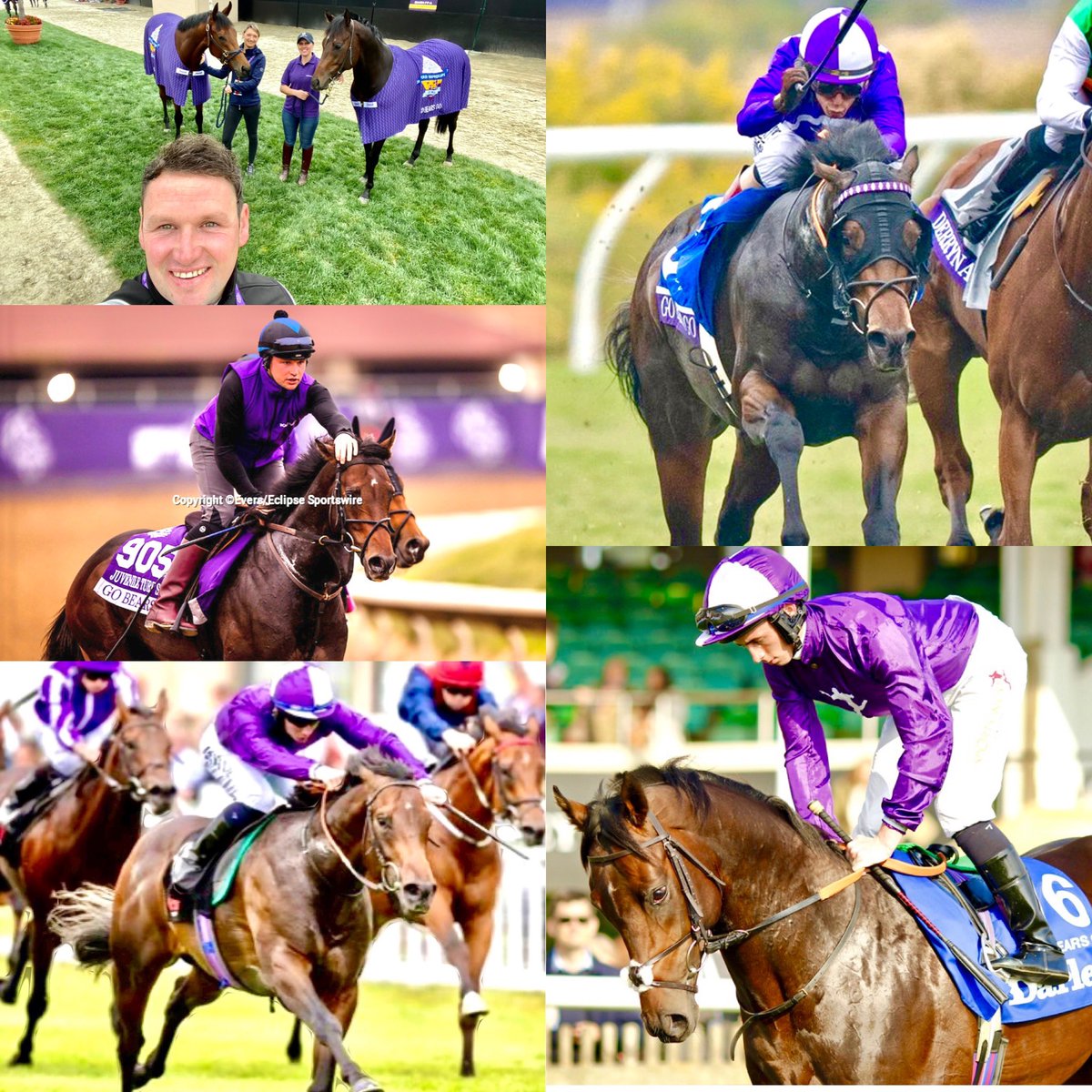 DaveLoughnaneRacing (@daveloughnane_) on Twitter photo 💜🤍 We can’t wait to see what the future holds for the 🐻 at stud. He has been an absolute pleasure and dream to train and he has taken us on one hell of a journey!! Looking forward to seeing his progeny do the same🙌🏻 #GoBearsGo#TheBest <a href="/amoracingltd/">Amo Racing</a> <a href="/aedrummond_/">Amy Drummond</a> <a href="/oaklodgestud/">OakLodge&Springfield</a>💜 💜🤍 We can’t wait to see what the future holds for the 🐻 at stud. He has been an absolute pleasure and dream to train and he has taken us on one hell of a journey!! Looking forward to seeing his progeny do the same🙌🏻 #GoBearsGo#TheBest <a href="/amoracingltd/">Amo Racing</a> <a href="/aedrummond_/">Amy Drummond</a> <a href="/oaklodgestud/">OakLodge&Springfield</a>💜