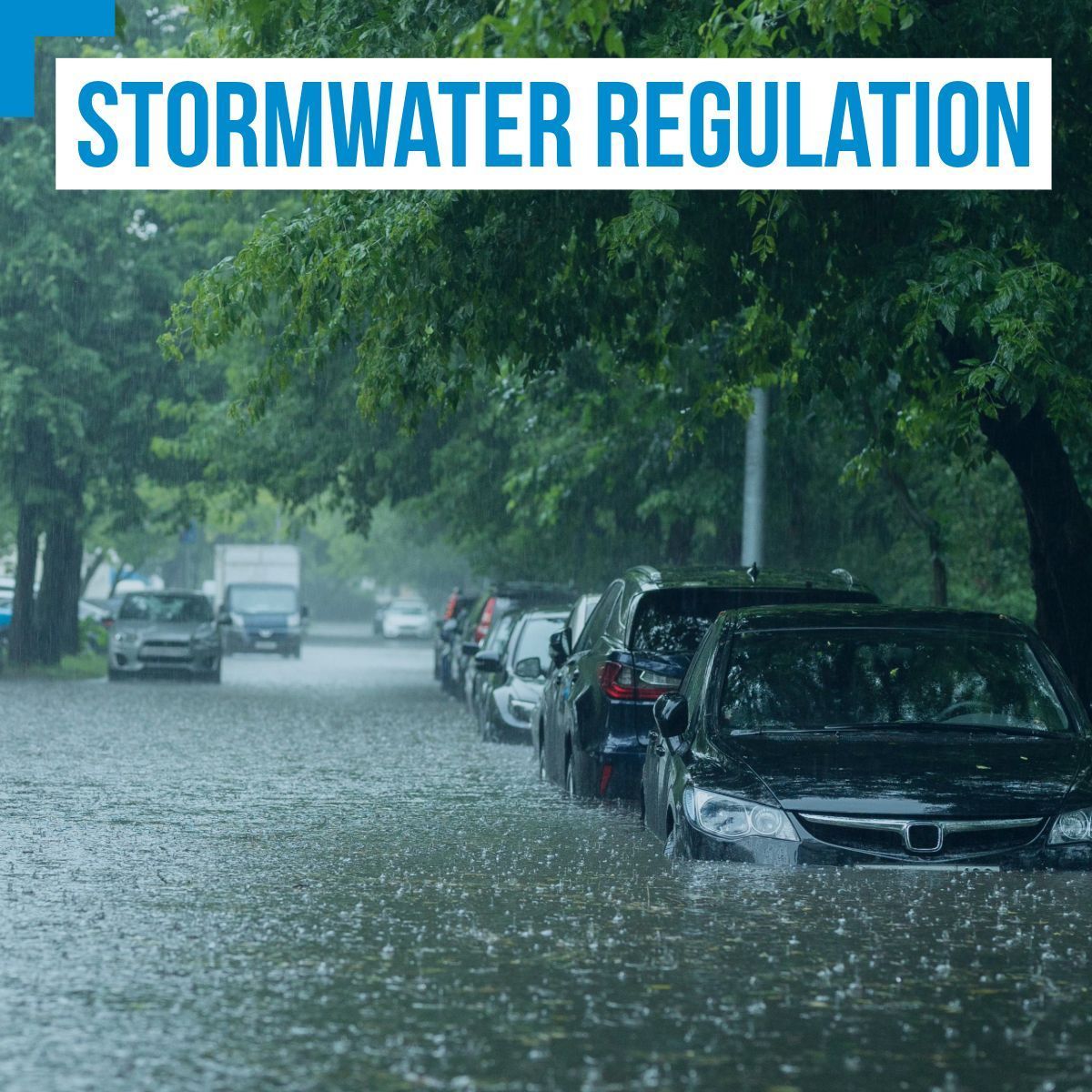 One year ago, NJDEP rolled out new regulations to help maintain and best serve the community. This will impact developers, municipal workers, and residents, among others. Here's a simplified summary of what you should know: 

sesi.org/news/updated-n…