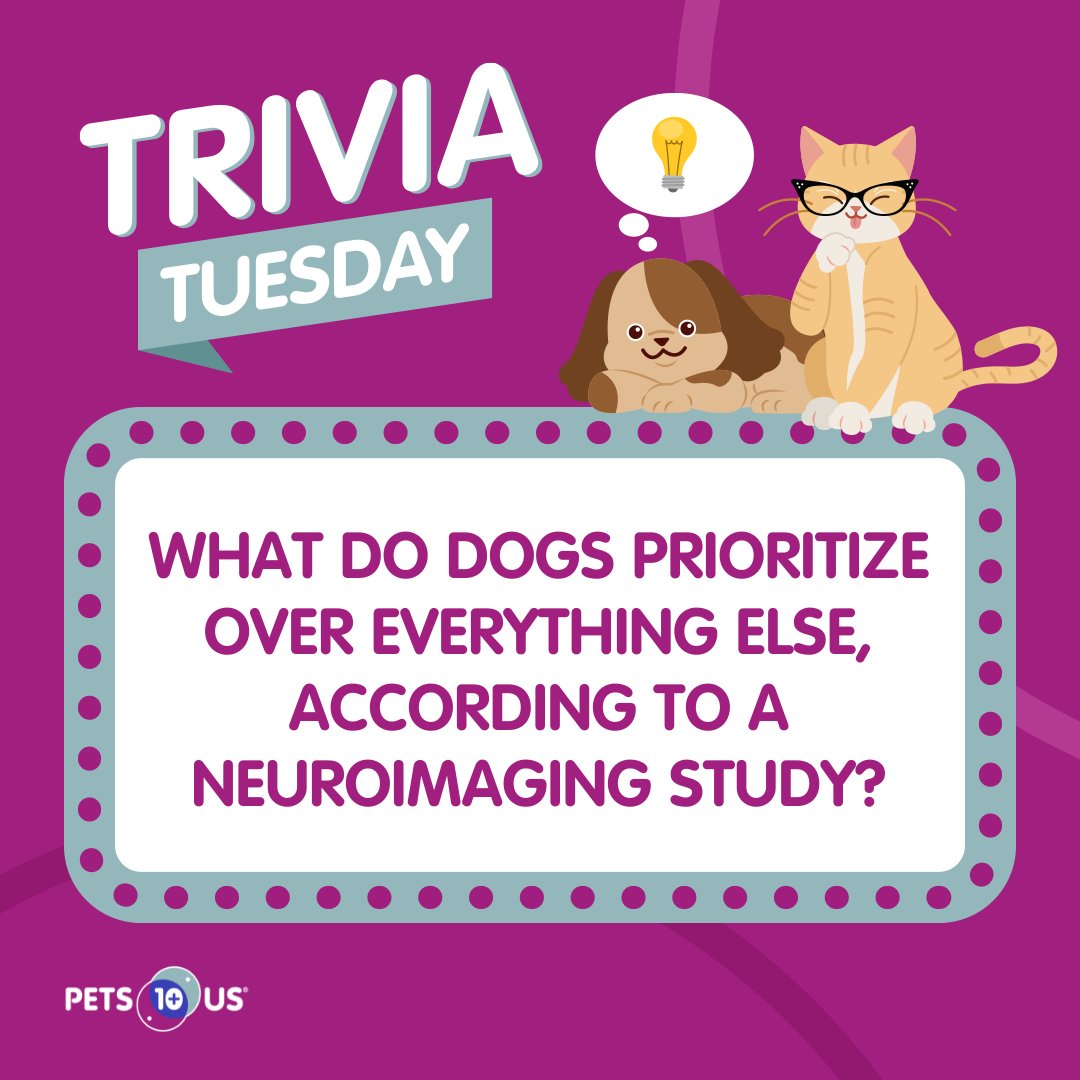 Pets Plus Us (@petsplususins) on Twitter photo #Win a $25 PetSmart gift card! To enter, answer the question, retweet this post and follow <a href="/PetsPlusUsIns/">Pets Plus Us</a> by 11:59PM EST. Open to Canadian & US residents (excluding QC). Ways to enter: bit.ly/3wBFKxO #Win a $25 PetSmart gift card! To enter, answer the question, retweet this post and follow <a href="/PetsPlusUsIns/">Pets Plus Us</a> by 11:59PM EST. Open to Canadian & US residents (excluding QC). Ways to enter: bit.ly/3wBFKxO