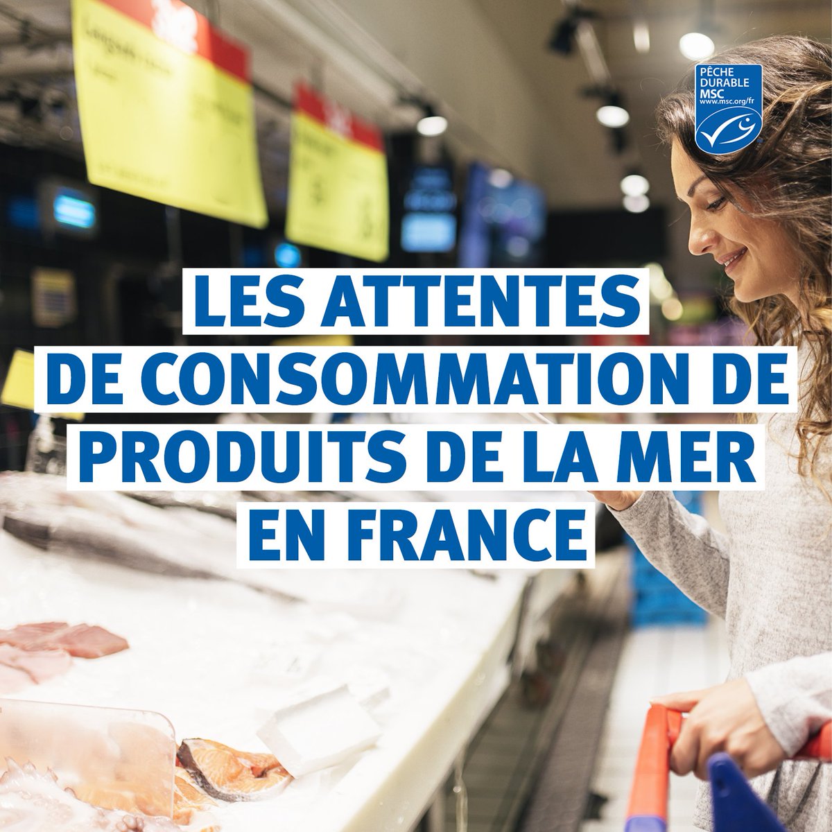 📢 Les résultats 2024 de l’étude sur les attentes des consommateurs de produits de la mer en France et dans le monde sont publiés ! 
Découvrez -les dans l’infographie ici : msc.org/docs/default-s…

© Santypan
