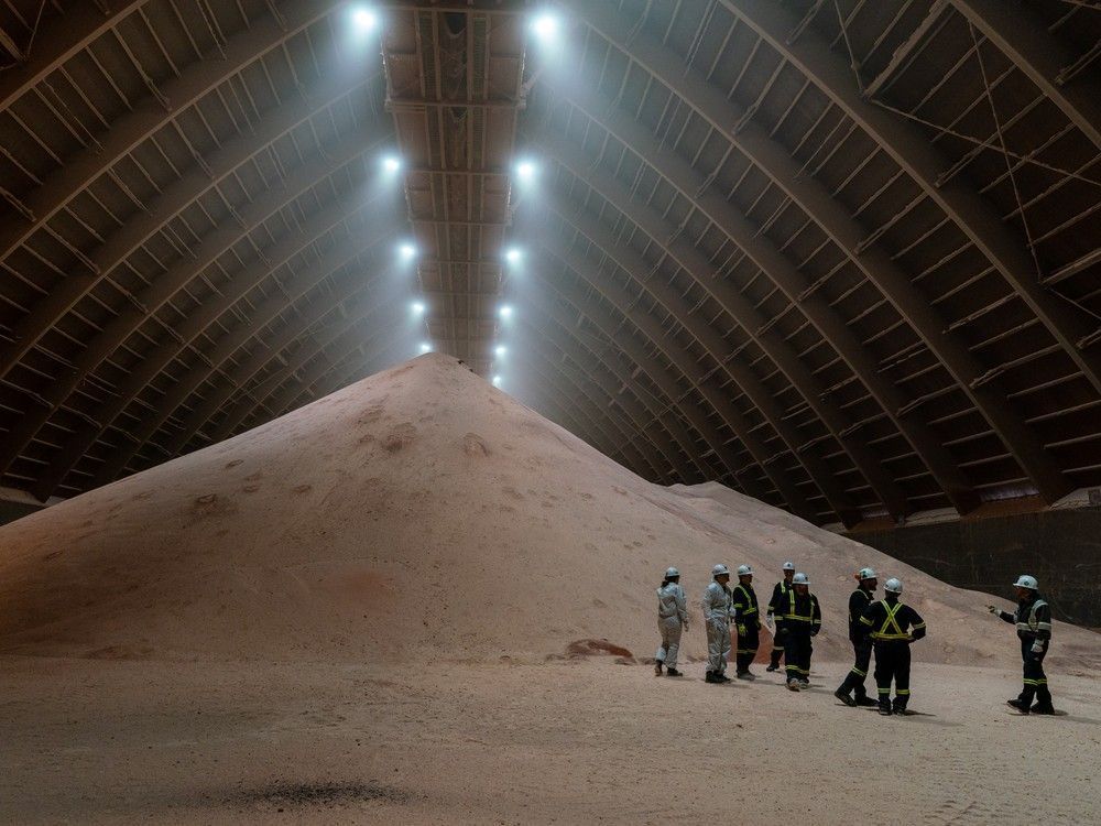 Regina Leader-Post tweet media