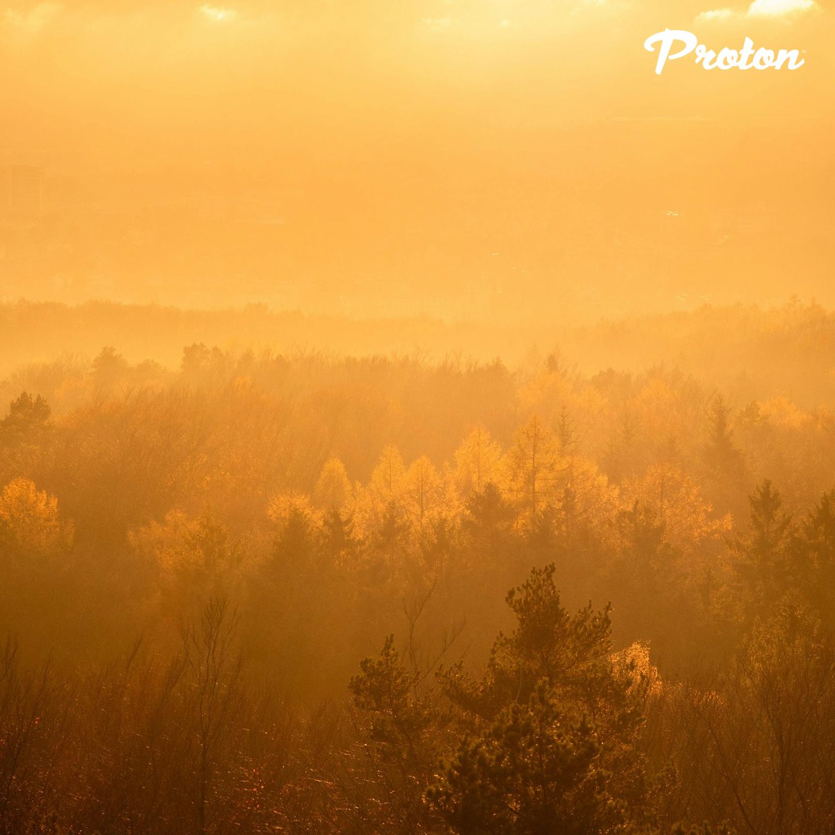 n0td3ady3t's tweet image. #advancedlifesupport 13 November 2024 10:00 CET @ProtonRadio 
By @djnotdeadyet 
@1001tracklists 
#progressivehouse