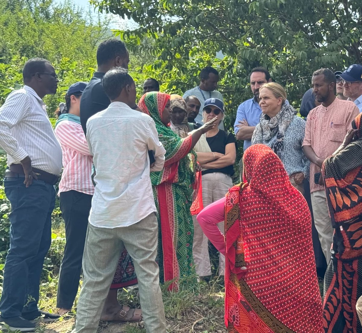 UNDPEthiopia's tweet photo. The UNDP-managed Peace Support Facility strengthens #Ethiopia's rebuilding efforts in Afar, Amhara &amp; Tigray regions following the northern Ethiopia conflict. The facility is financed by the governments of Germany and Japan, &amp; UNDP #PartnersAtCore + #UNDPFundingWindows. https://t.co/UTHblH2JGZ