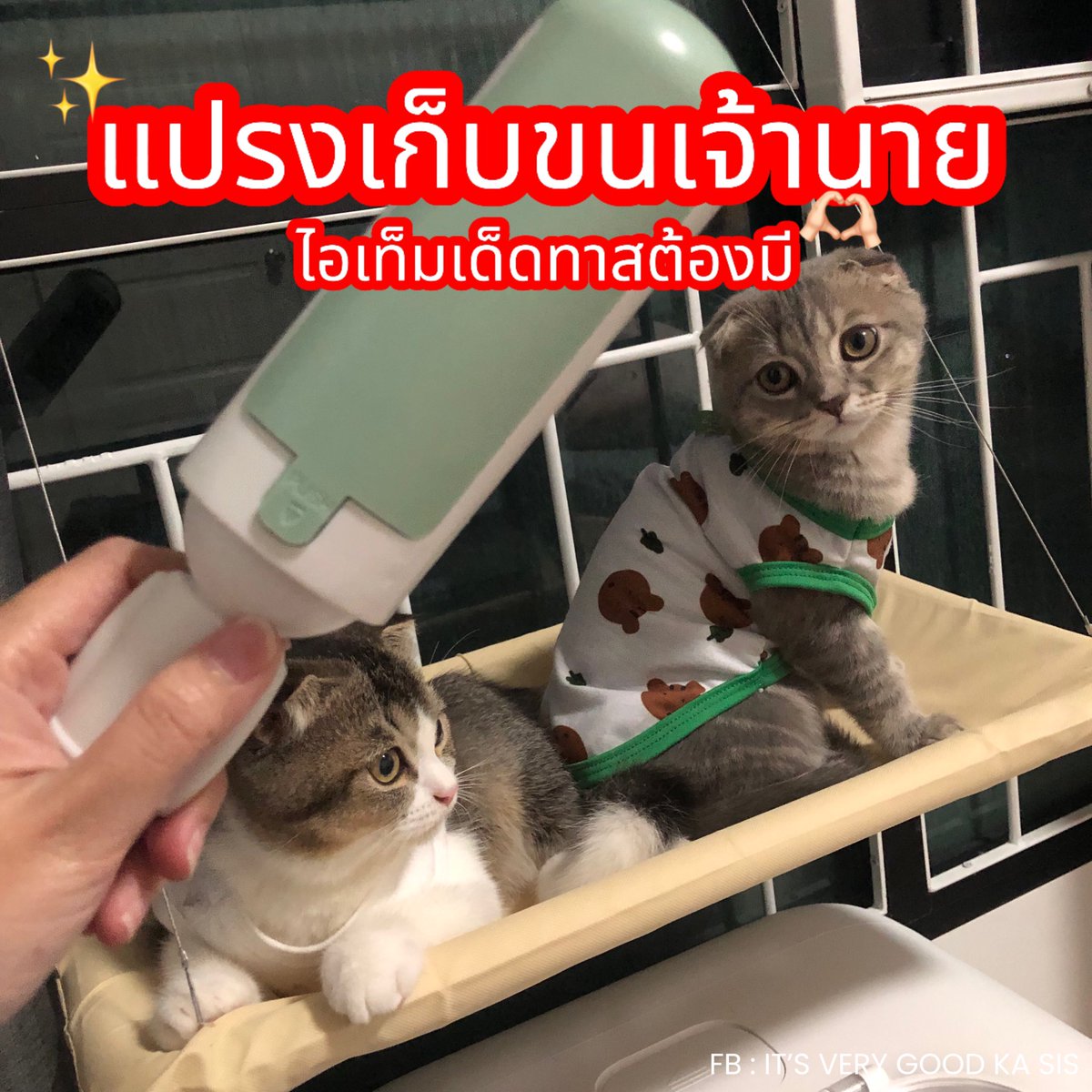 itverygoodkasis's tweet photo. 🙀 จึ้งเกินคุณพี่ แปรงเก็บขนสัตว์เลี้ยง 
รีวิวจริง ใช้จริง ดีเกินจนตกใจ 
รูดปรื๊ดๆได้เลย ไม่ต้องซื้อรีฟิลมาใส่ 
เก็บขนสัตว์เลี้ยงได้ดี และเยอะมาก เลิศ ✨

📍 แอปส้ม 
ราคา 39 บาท

 #รีวิว #รีวิวของดีบอกต่อ #สัตว์เลี้ยง https://t.co/DjvdS2uYBh