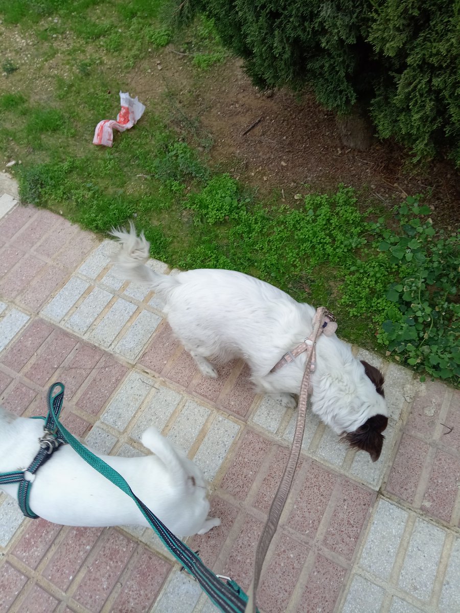 MRHPOSITIVO (@miguelruedaher1) on Twitter photo 