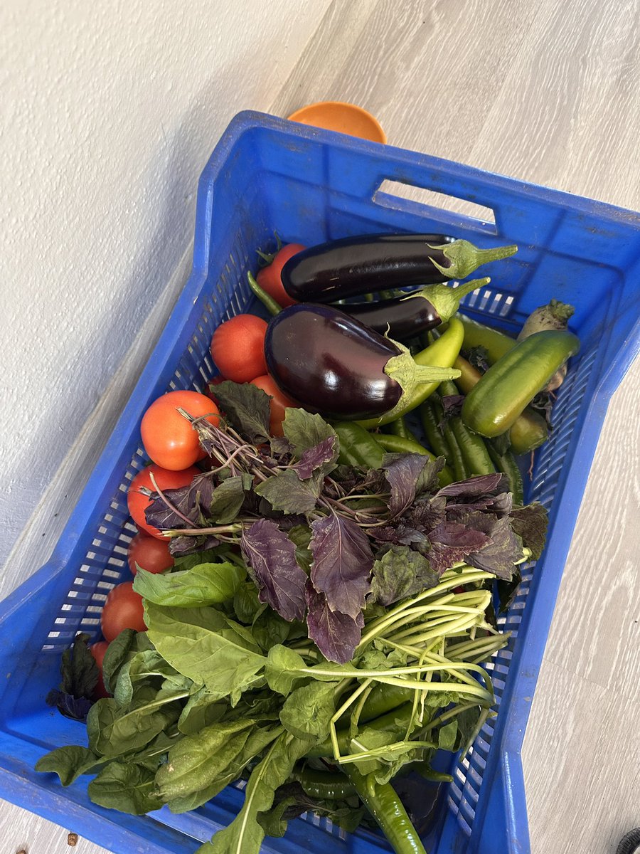 bayancale's tweet photo. bi gün bi sevap işlemişim ama kime nerde bilmiyorum döndü müko ev sahiplerim olmasını sağladı thank you https://t.co/50hCKmB1sC
