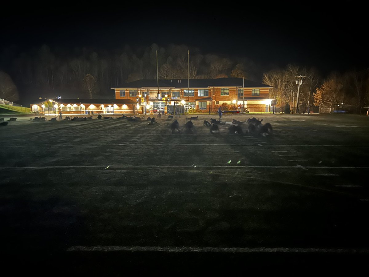 Everyone who has made it through a Lions challenge or 5 understand 5:00am on the turf. Nothing else quite like it #HighMotor