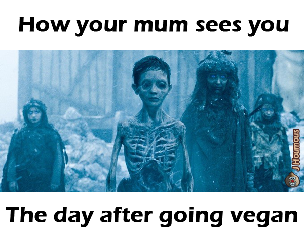 Jihoum Veg tweet media
