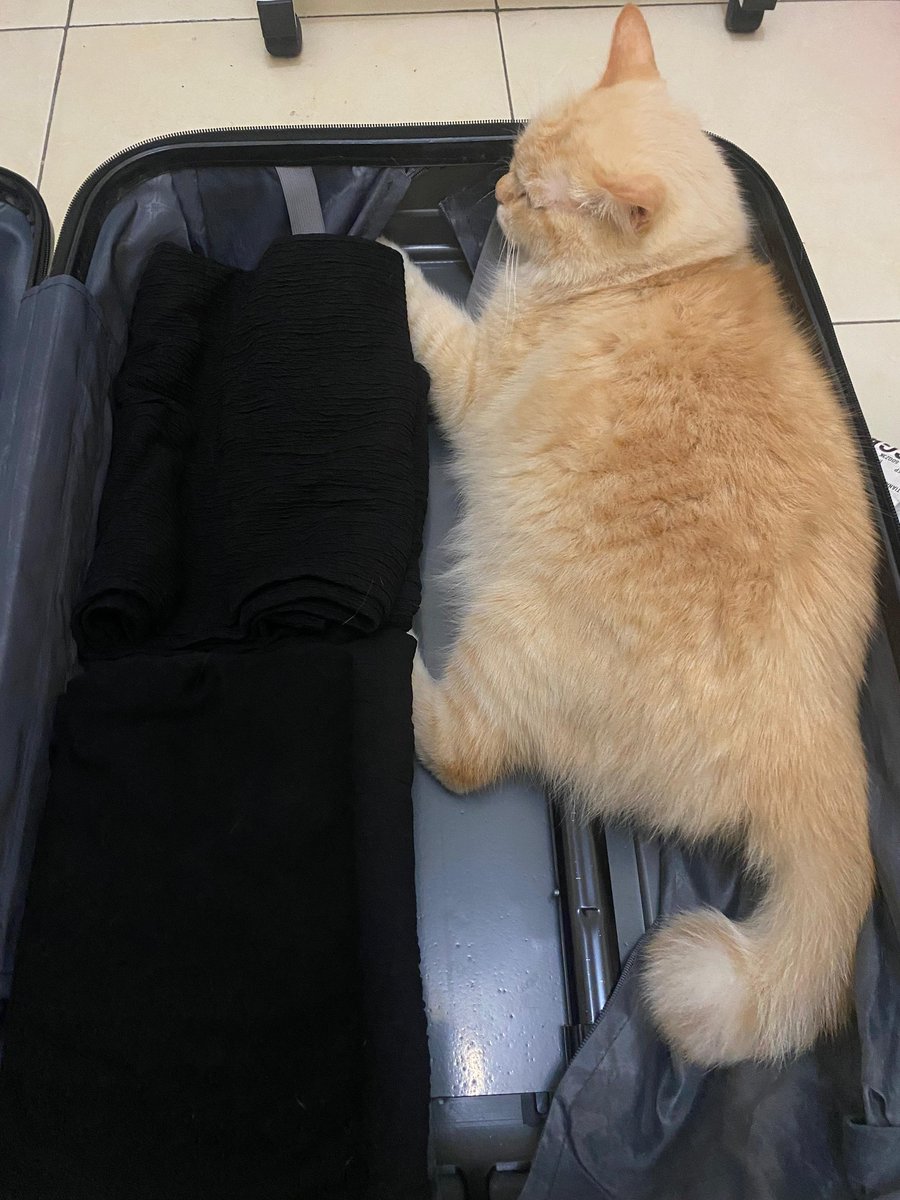 Kalo bawa ginian nambah bagasi gak ya kira kira