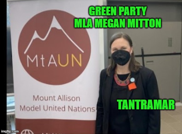 SarahWilliamsNB's tweet photo. Green Party MLA Megan Mitton:
Fully on board with face masks, multiple experimental jabbies for the scamdemic, climateering grifters, anti-oil and gas advocacy, and anything else her Mount Allison university boosters/technocrats tell her to advocate for. #GreenFail #MeganMitton https://t.co/JGprjikOYz