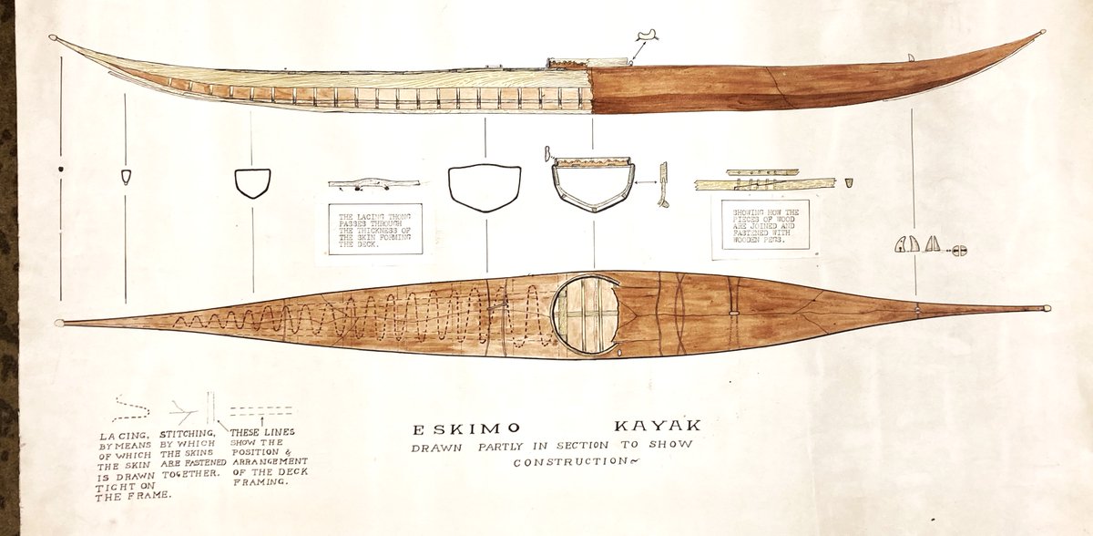 ConservationBob's tweet image. Ipswich Museum conservation for the redevelopment. our Inuit  Kayak came into the museum in 1853. We have a asked a specialist conservator to come to the museum and advise us on its conservation. The Kayak is presently crated but it will be unpacked and conservation started soon.