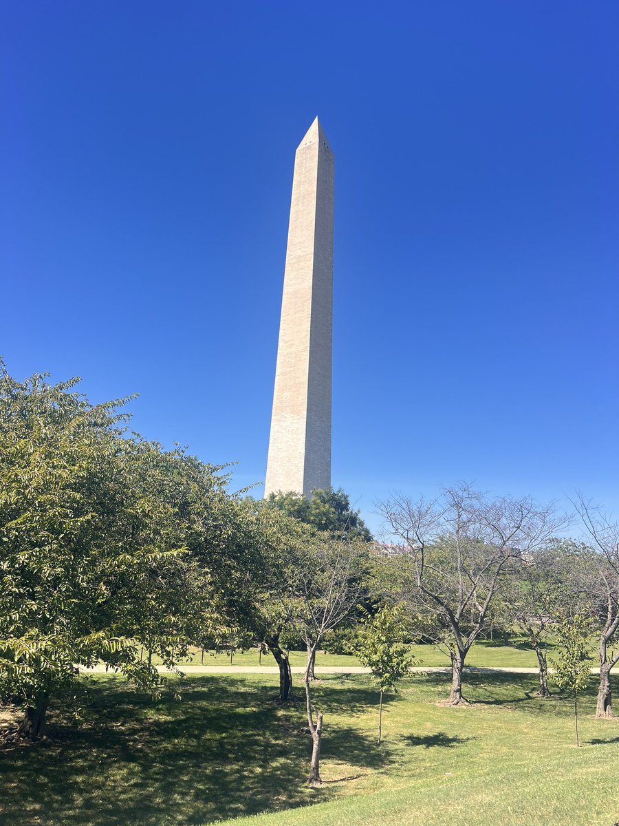 nopess007's tweet photo. Washington DC https://t.co/RBMW7pDw78