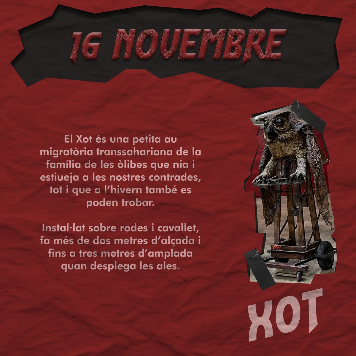 Diables, Tabalers i Bèsties de Sants tweet media