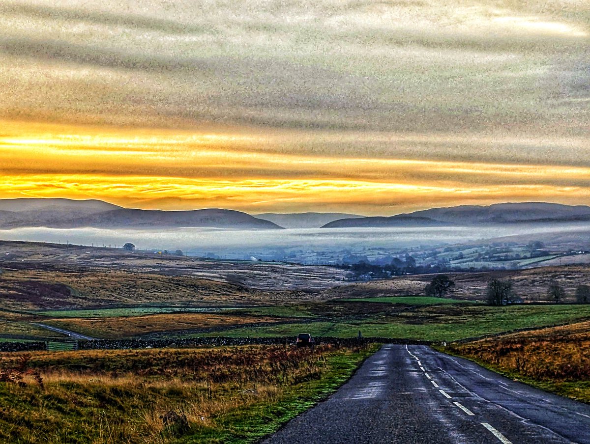The Hunt for the Red Squirrel of Cumbria was a success today from the M6 at Shap. <a href="/cumbriawildlife/">CumbriaWildlifeTrust</a>