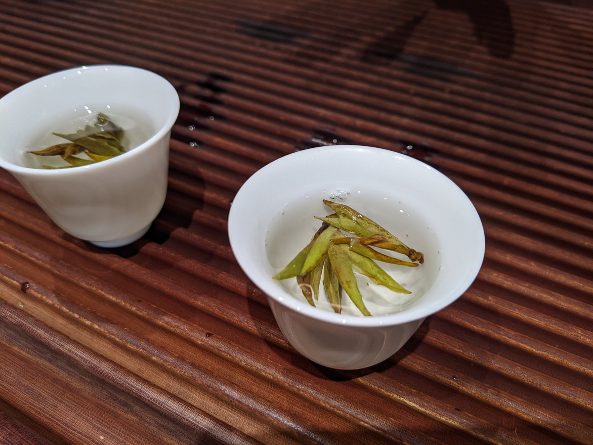 #第75回駒場祭 では、吉祥寺にある青蛾茶房(<a href="/seigasabou/">青蛾茶房店主</a> )さんの茶葉を提供予定です。

色々とお話を伺いながら、とっておきの数種類を選びました🍵
詳細は後日お知らせします！
どうぞご期待ください☺️

#重ね彩なす駒場祭
#中国茶

こちらは試飲中の写真