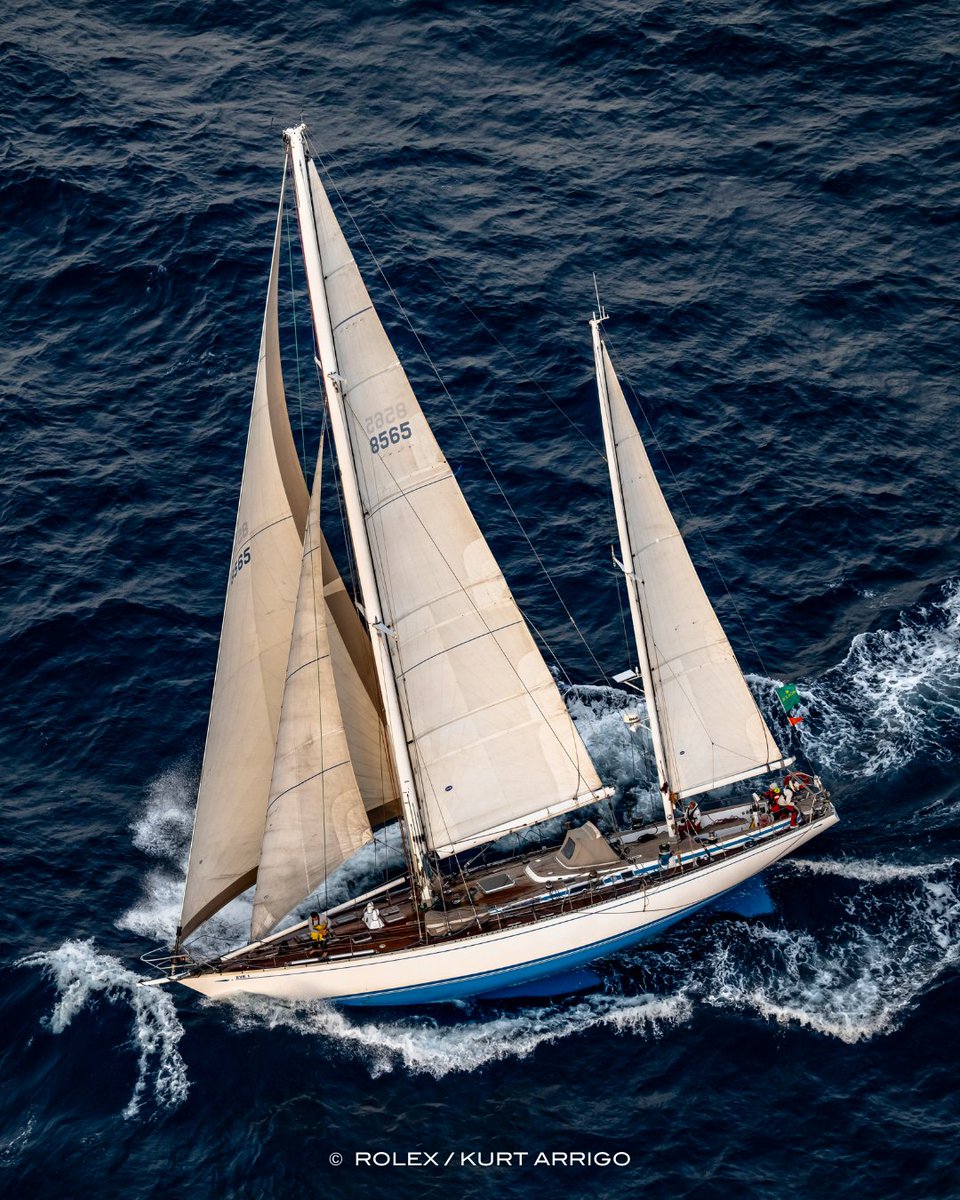RolexMiddleSea's tweet photo. Cutting through the water 🌊🚀

Steve Capell's classic Swan 65 𝐄𝐕𝐄 powers through the water during the 2024 Rolex Middle Sea Race 🩵

#RMSR #RMYC #SailingLife #Yachting 
📷 Rolex | Kurt Arrigo https://t.co/0wuXAttHpk
