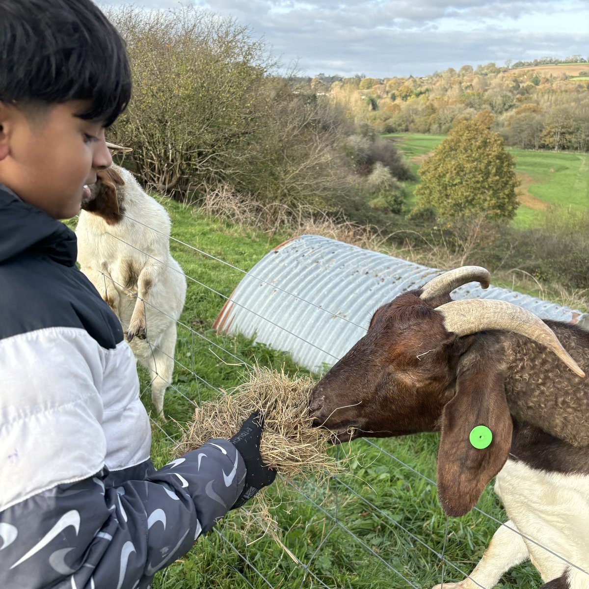 Cyril Jackson School tweet media