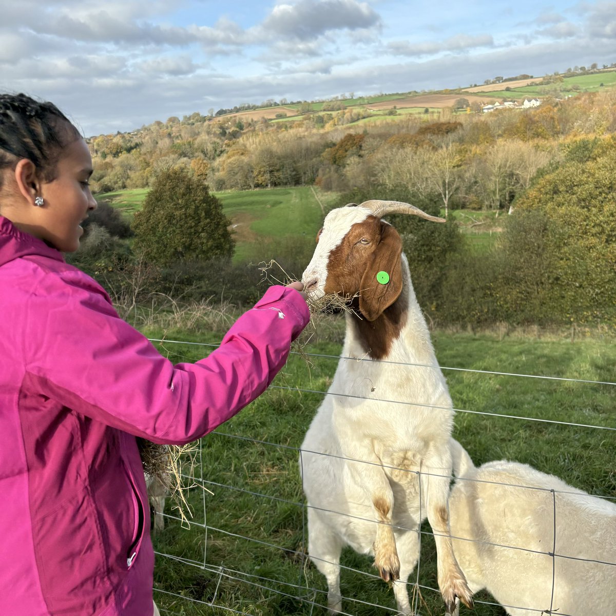 Cyril Jackson School tweet media