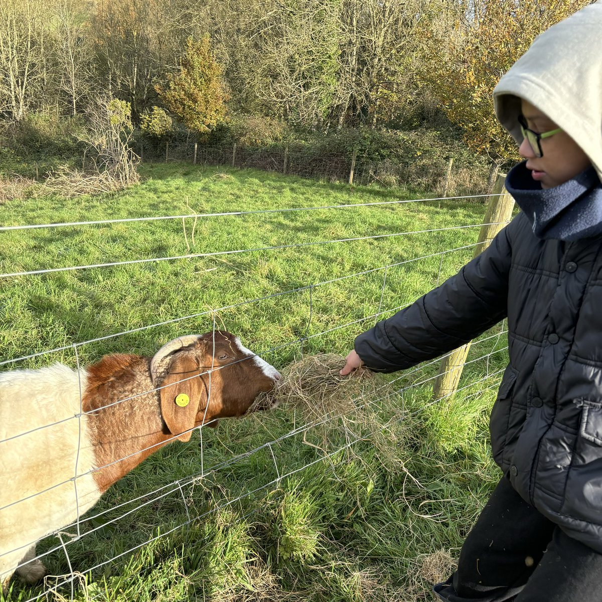 Cyril Jackson School tweet media