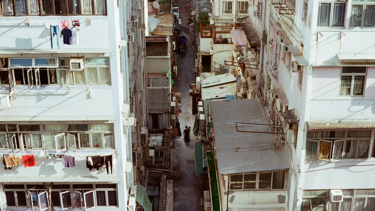 Fishmonkeycow tweet media