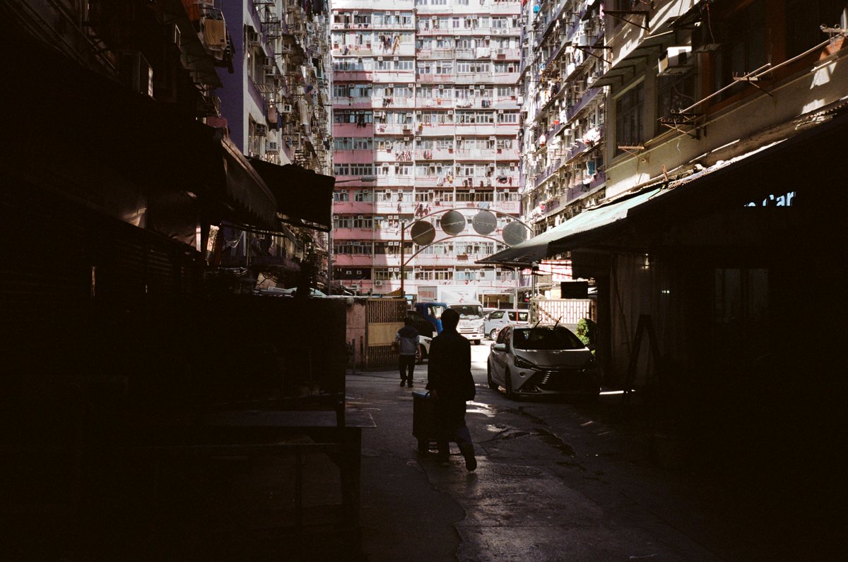 Fishmonkeycow tweet media