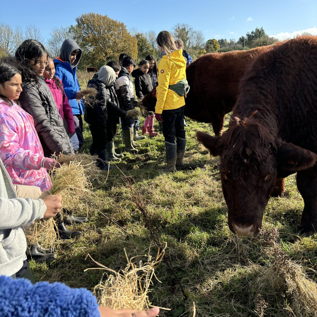 Cyril Jackson School tweet media