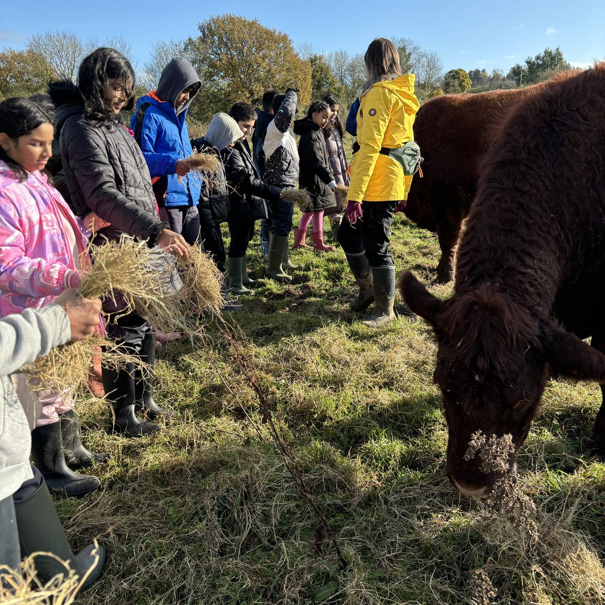 Cyril Jackson School tweet media