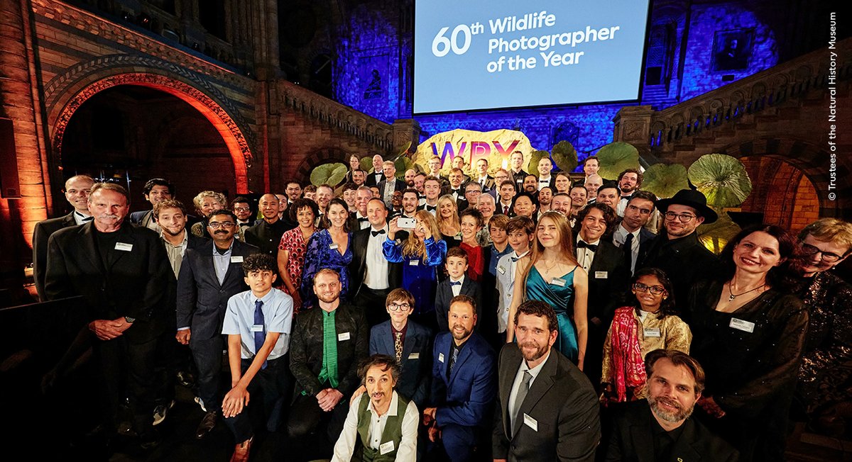 Wildlife Photographer of the Year tweet media