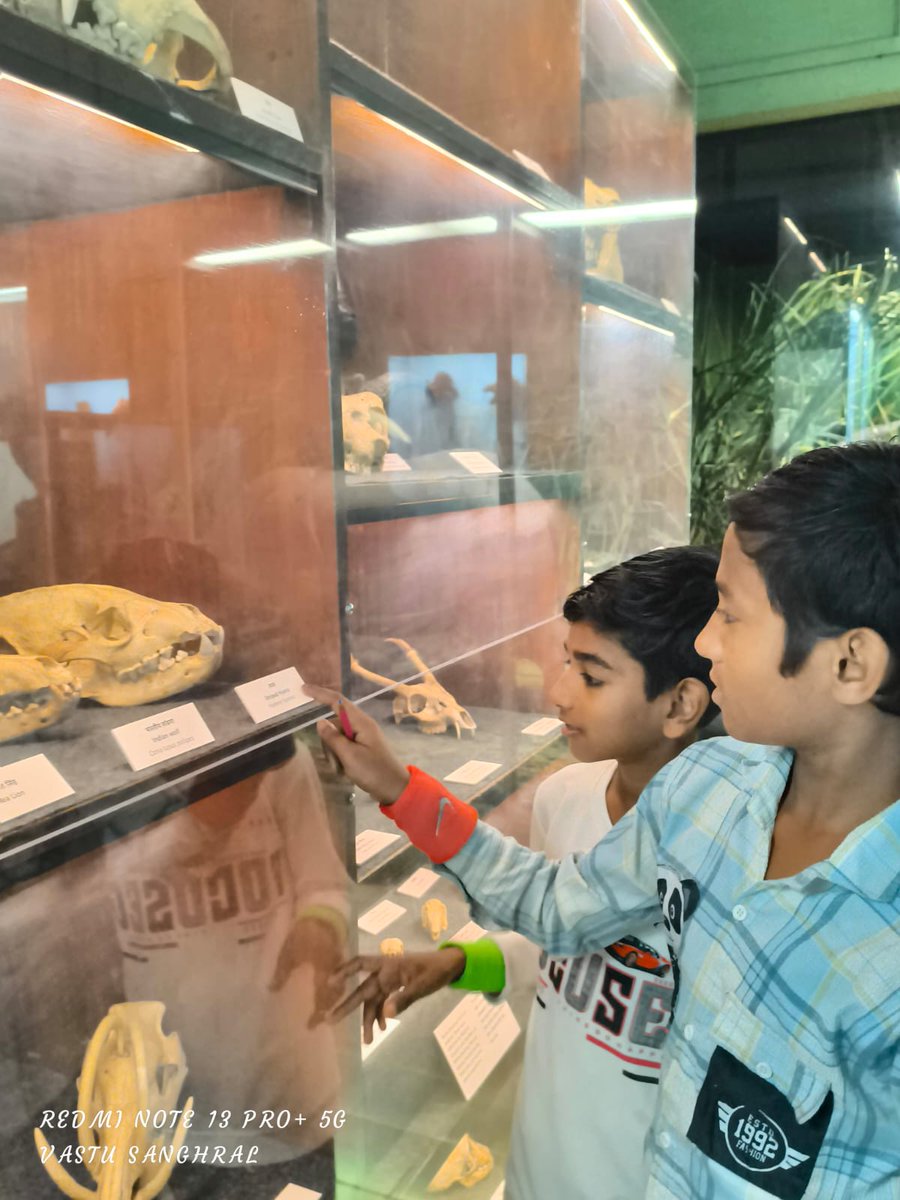 51 enthusiastic students from Karunya Trust-Gyansaathi, 5th to 7th grade, enjoyed an enriching experience at Chhatrapati Shivaji Maharaj Vastu Sangrahalaya (CSMVS). Big thank you to KORA for sponsoring this educational visit. 
#karunyaforlife #kalyaneparchyyouth