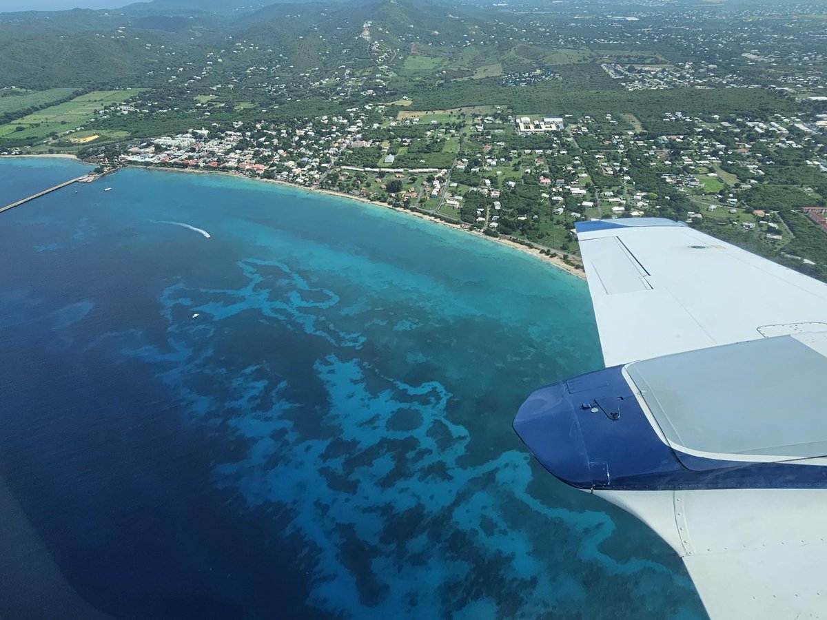 Jorge Martel tweet media