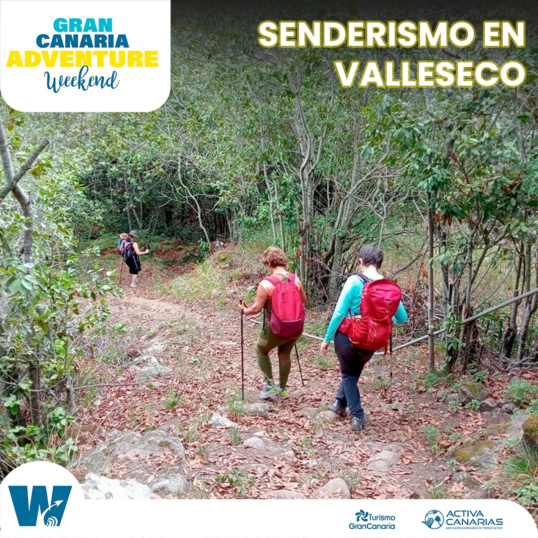 Un sendero circular, fácil, adaptado a todas las personas que quieran caminar sin esfuerzo y disfrutar del entorno.
A finales de noviembre tendremos la oportunidad de recoger algunas castañas.

Reserva aquí👇

turismoactivograncanaria.com/program

#GCAW24 #TurismoActivo #Valleseco #senderismo