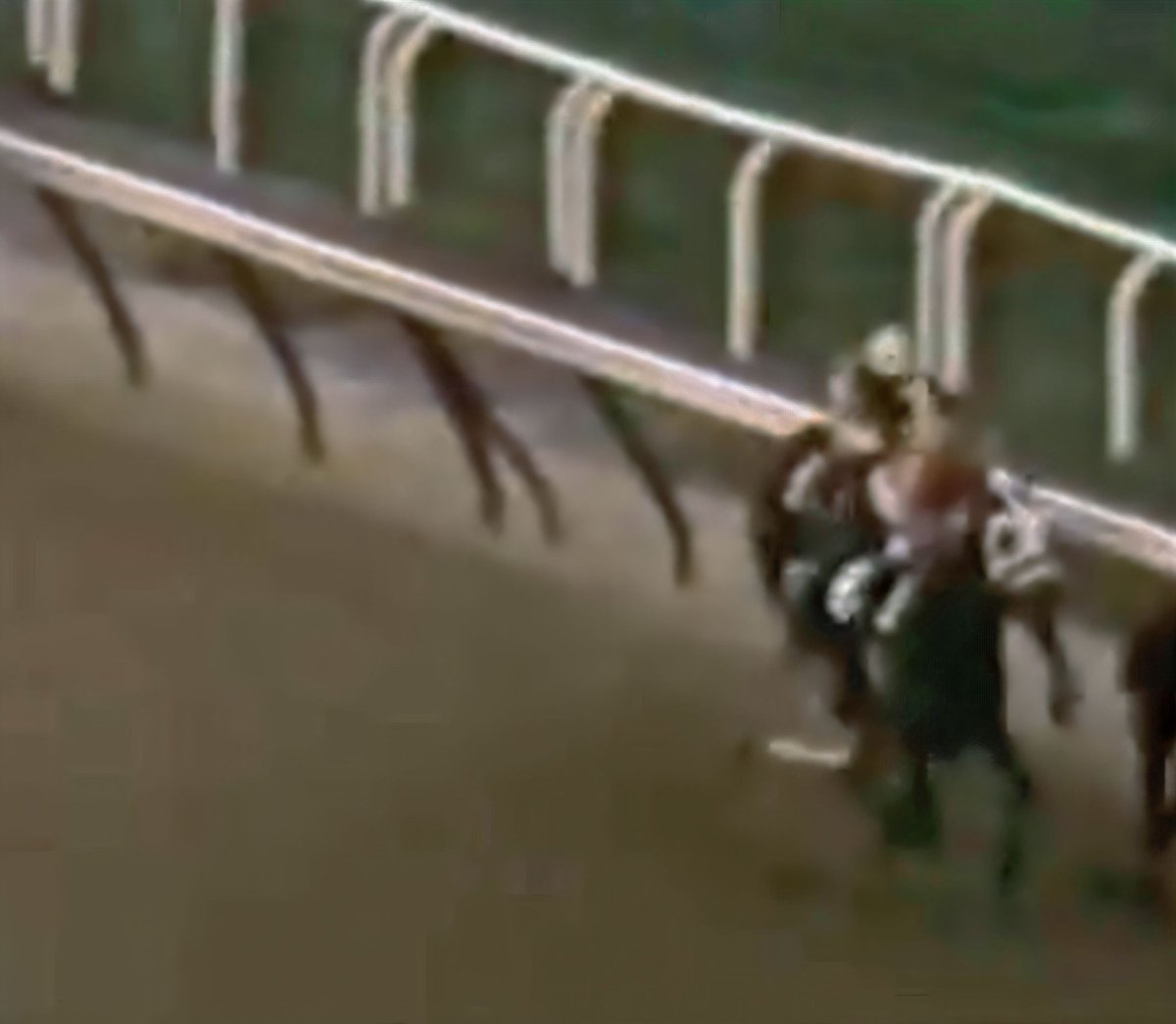 HORSERACING1002's tweet photo. GROUP PLAN🇺🇸1970
(INTENTIONALLY - NANTICIOUS BY NANTALLAH)#GroupPlan
B/ Eaton Farm & Red Bull Stable, Mrs. G. Proskaue (Ky) May 6, 1970, Gelding
O/ Sommer S.
T/ Frank Martin Sr.
54-9-9-7---$446,236
Hawthorne Gold Cup G2, Jockey Club Cup G1, Stymie H.
2nd Display H G3, Gallant Fox H G2, Massachusetts H G2, Washington Park H G3, Whitney H G2, Séneca H G3.
3rd Brighton Beach H G3, Jockey Club Gold Cup G1, Queen's County H G2, Woodward S G1 (2), Hawthorne Gold Cup G2,
ETR Hawthorne 1¼ miles 1,58,80