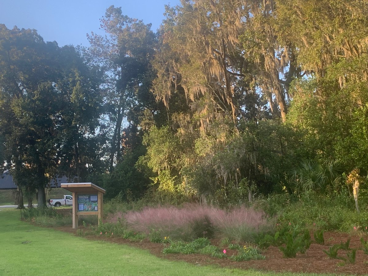 McCarty Woods Restoration event:  SunNov. 17, 9-1030.  Free t-shirt day-first 100 get a McCarty Woods t-shirt. Lots of new plants plus a trail to improve. Usual place - NE corner of the woods by picnic table. We will bring water, gloves, garbage bags, small hand saws, doughnuts!