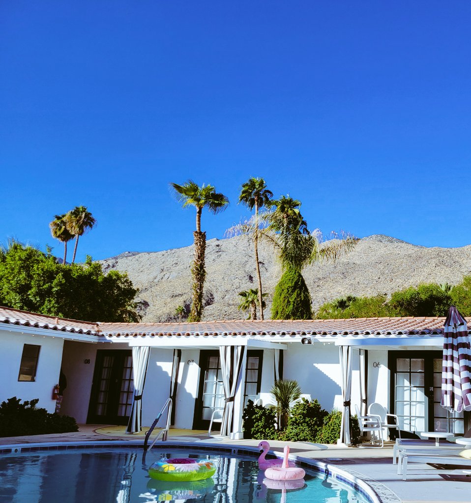 Palm Springs in November, what a freaking delight. Look at that #Bluesky ...and to hang with brilliant people, too. Truly wonderful. I'll say it again, #Bluesky is nice 👌