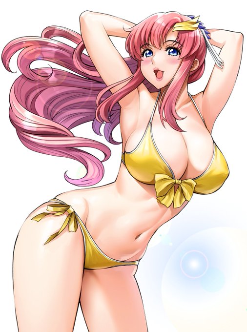 「SEED FREEDOM ZERO」制作決定…!!
おめでとうございます! 