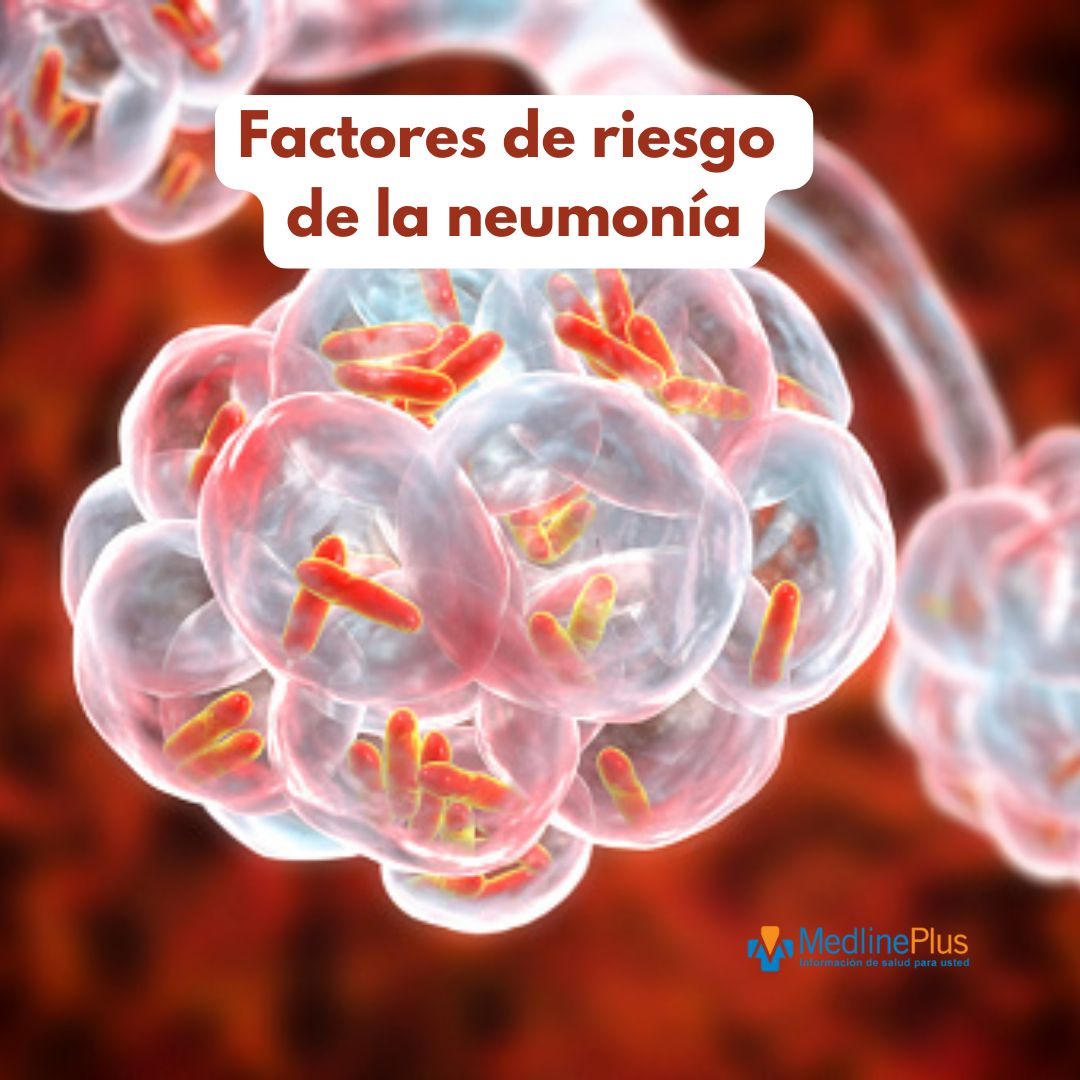 MedlinePlusEsp's tweet photo. La neumonía es una infección en uno o ambos pulmones. Causa que los alvéolos pulmonares se llenen de líquido o pus. Cualquier persona puede tener neumonía, pero ciertos factores pueden aumentar el riesgo. ¿Quieres saber más? Entérate 🫁 https://t.co/Zu1xPHwoN0 #PneumoniaDay https://t.co/iMDQZ8KYs9