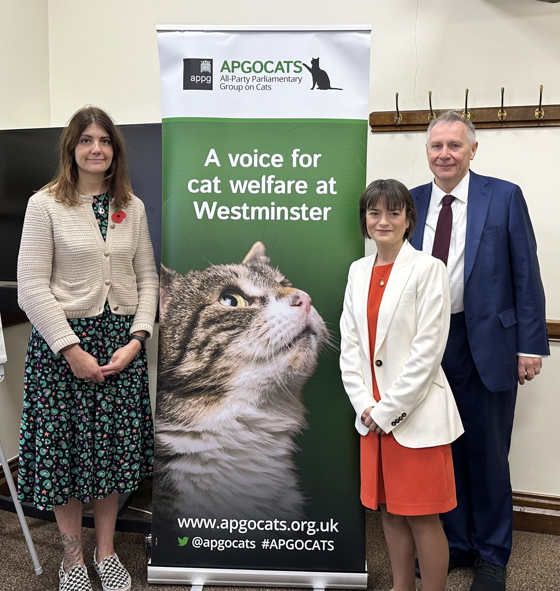 JohannaBaxter's tweet photo. Absolutely delighted to have been elected as Chair @APGOCATs. 😻

With the increase of extreme breeding, kitten smuggling &amp; use of shock collars theres a lot of work to do to protect the welfare of our feline friends &amp; I look forward to working with colleagues on these issues. https://t.co/whYcBw0a7e