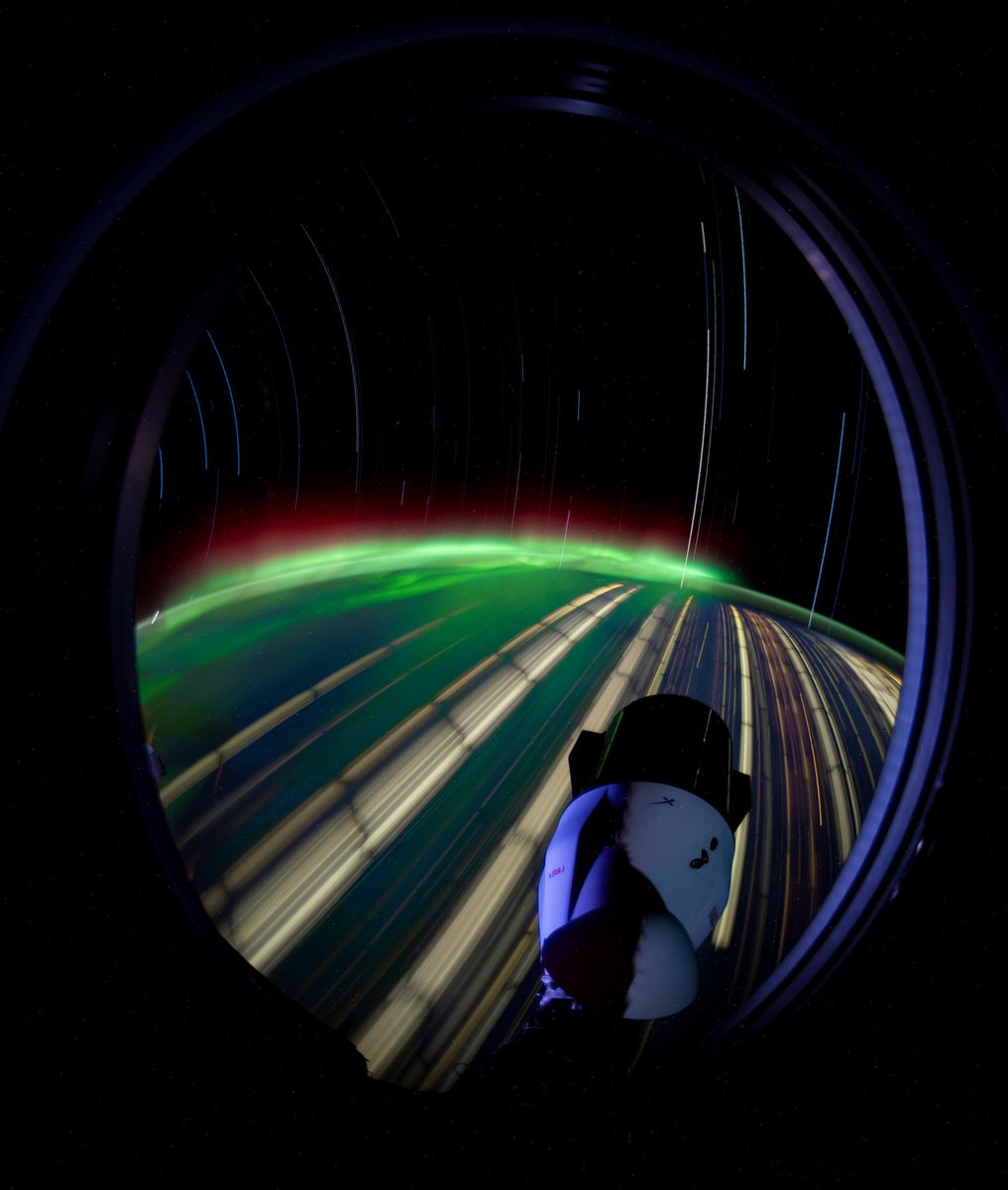 Don Pettit tweet media