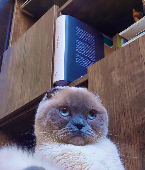 جناب سرهنگ خیلی هم عصبانیه 
عشق منه